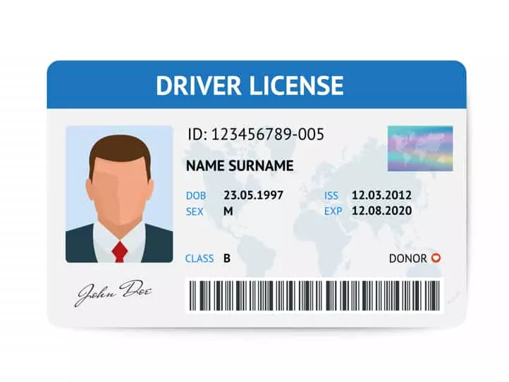 driver's license for work only