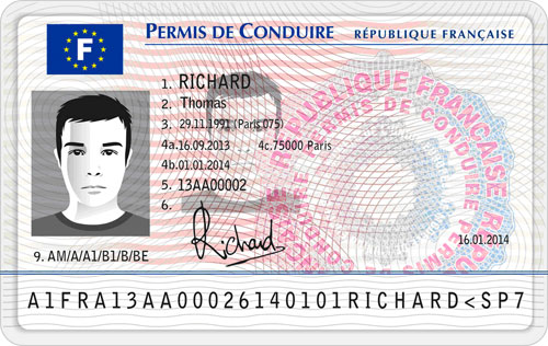 driver's license french translation