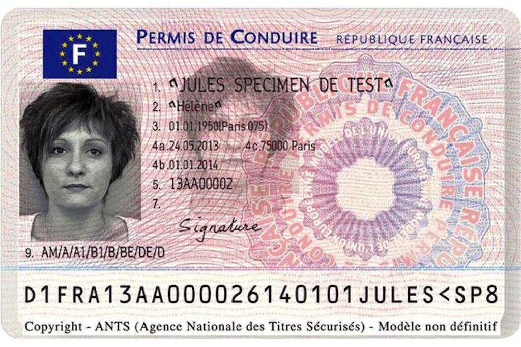 driver's license french translation