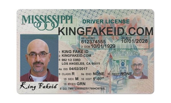 driver's license government issued identification