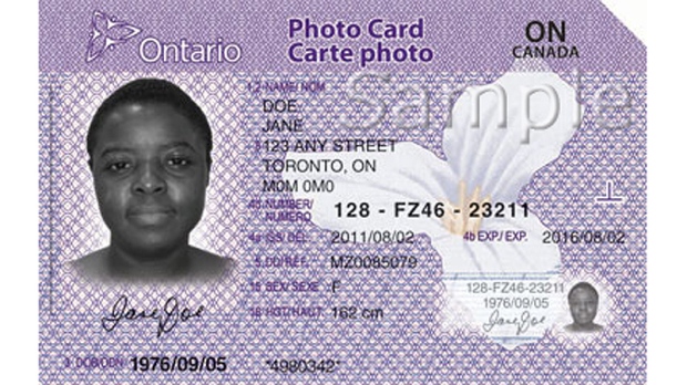 driver's license government issued identification