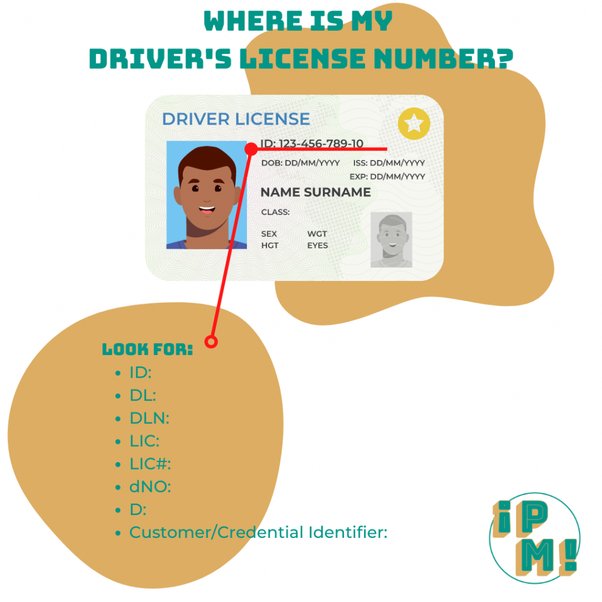 driver's license id number location