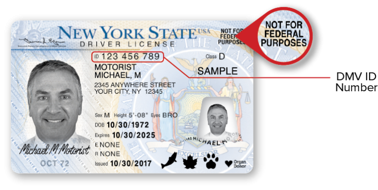 driver's license id number location