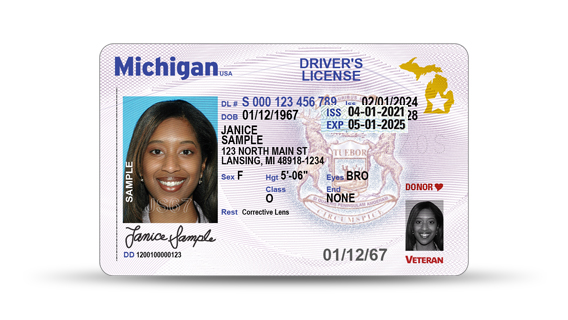driver's license id number michigan