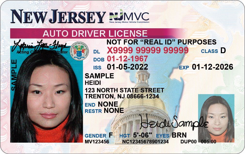 driver's license images