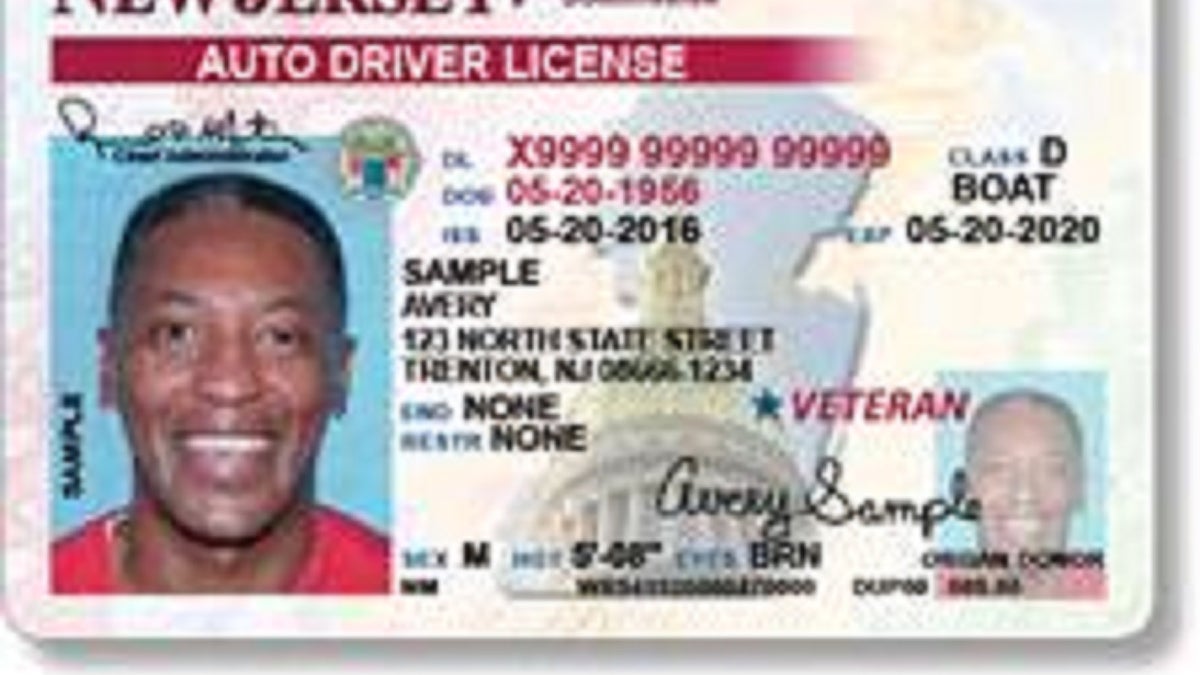 driver's license information crossword