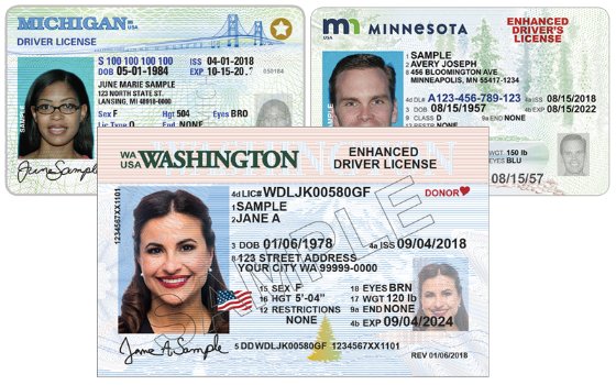 driver's license instead of passport