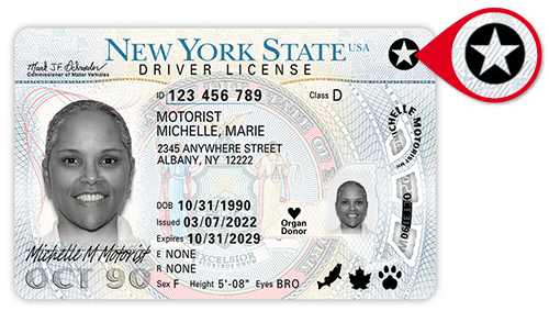 driver's license instead of passport