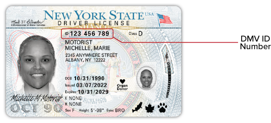 driver's license issued by a state