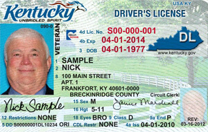 driver's license ky test