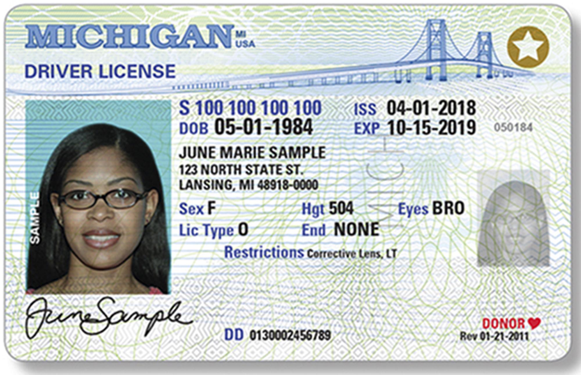 driver's license lookup michigan