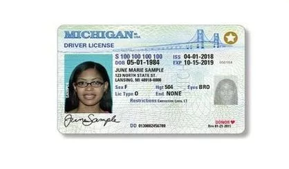 driver's license michigan requirements
