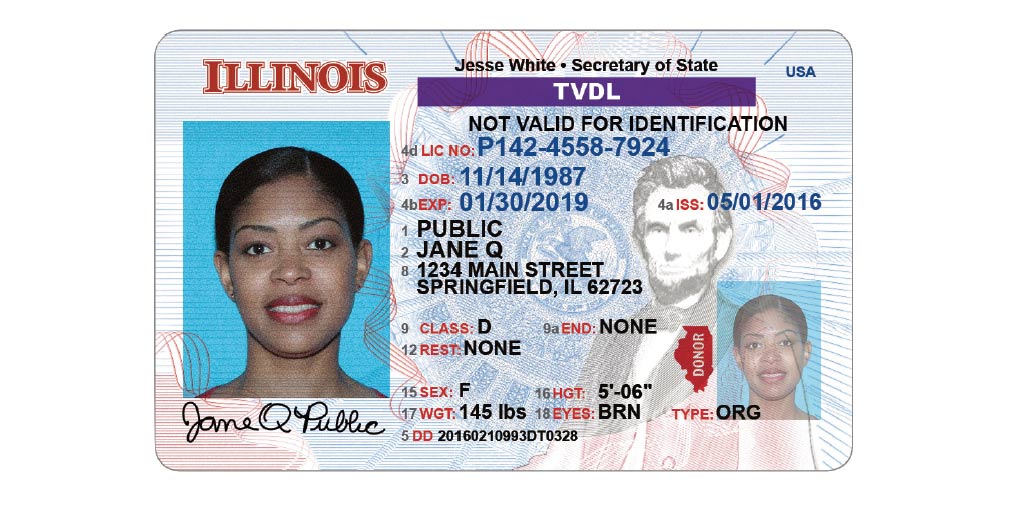 driver's license renewal illinois