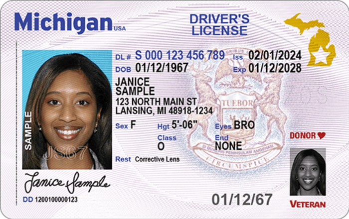 driver's license requirements