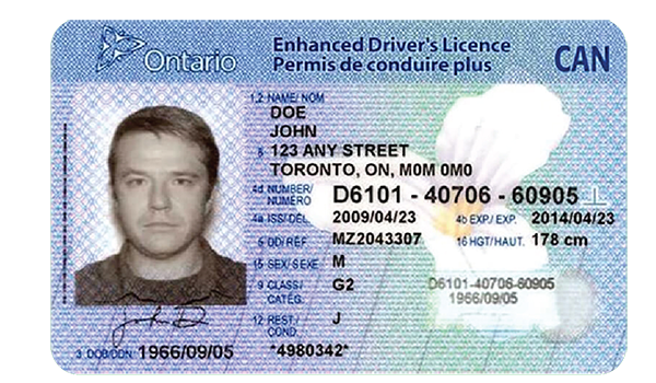 elfin driver license