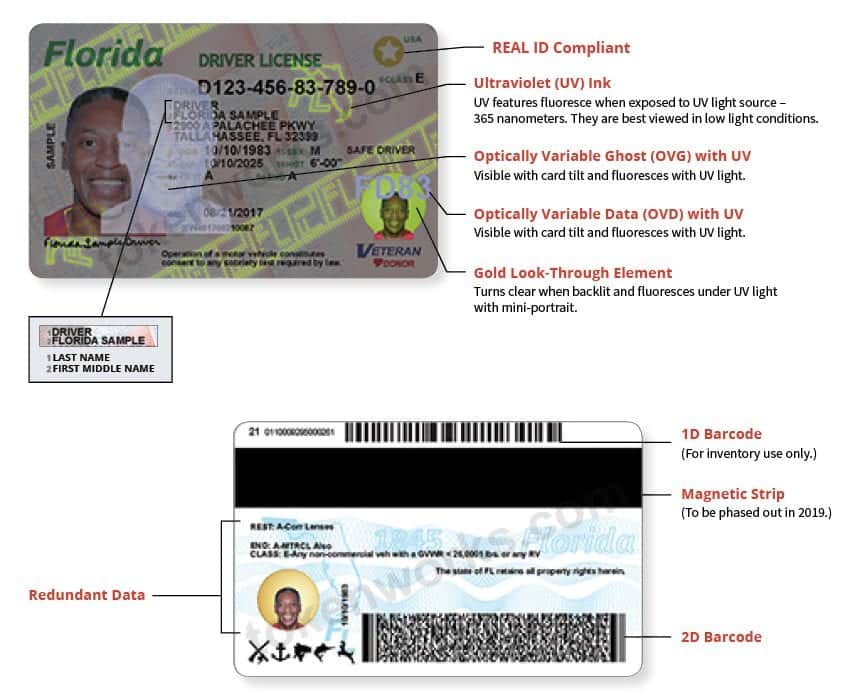 enhanced driver's license in florida