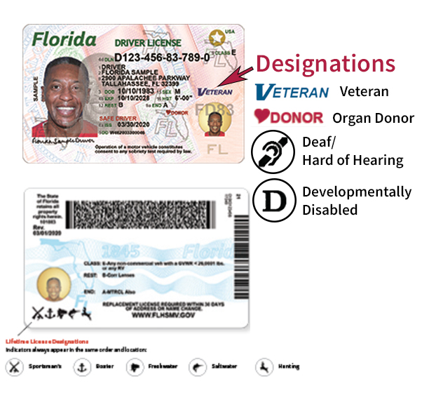 flhsmv driver license check
