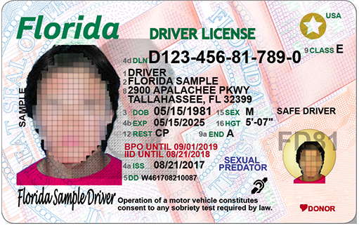 flhsmv driver license check
