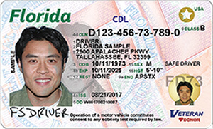 florida driver's license practice test