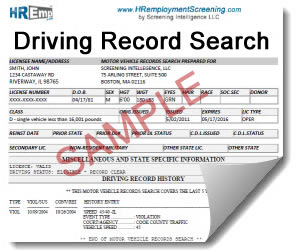 free background check with driver's license number