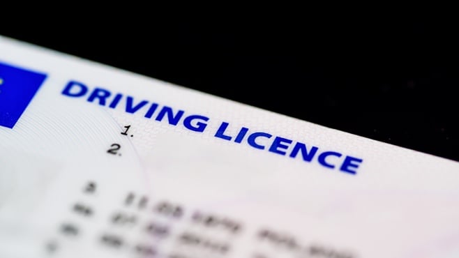 free driver license record check