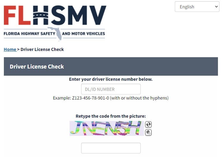 free driver license record check