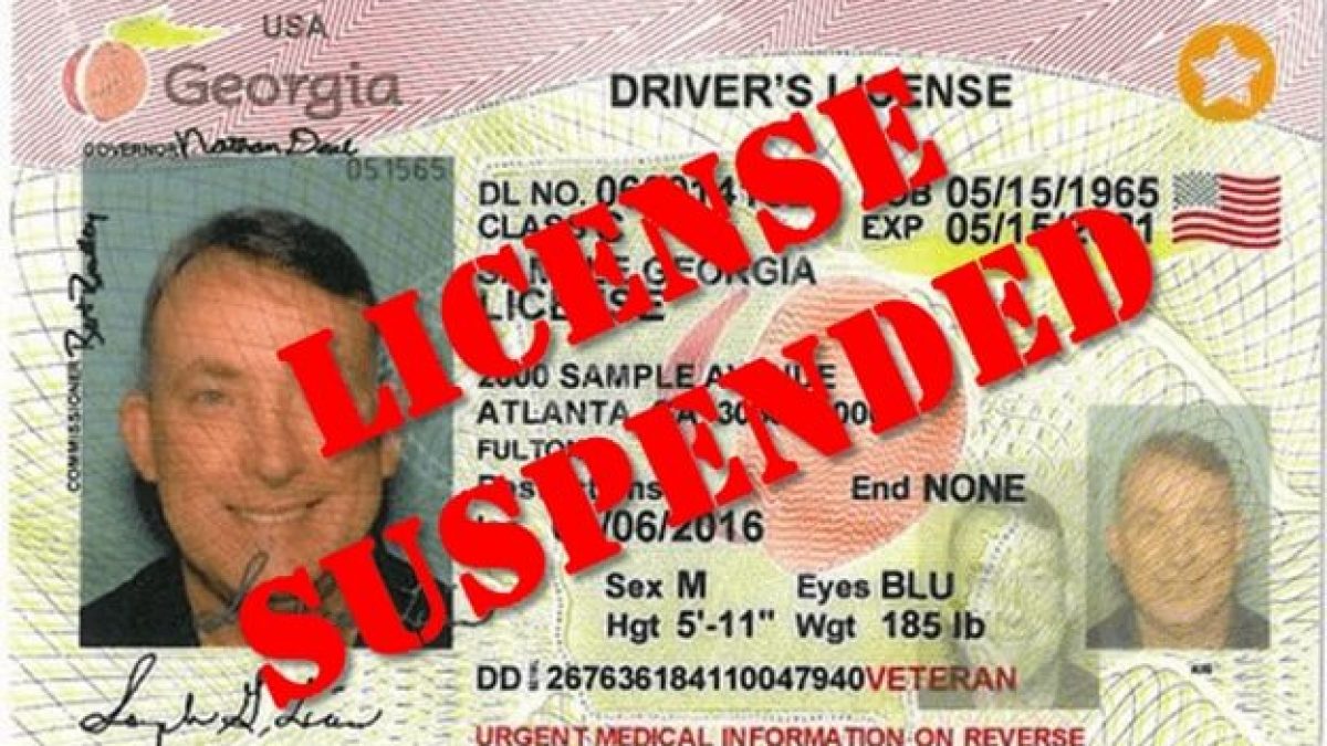 free georgia driver's license check