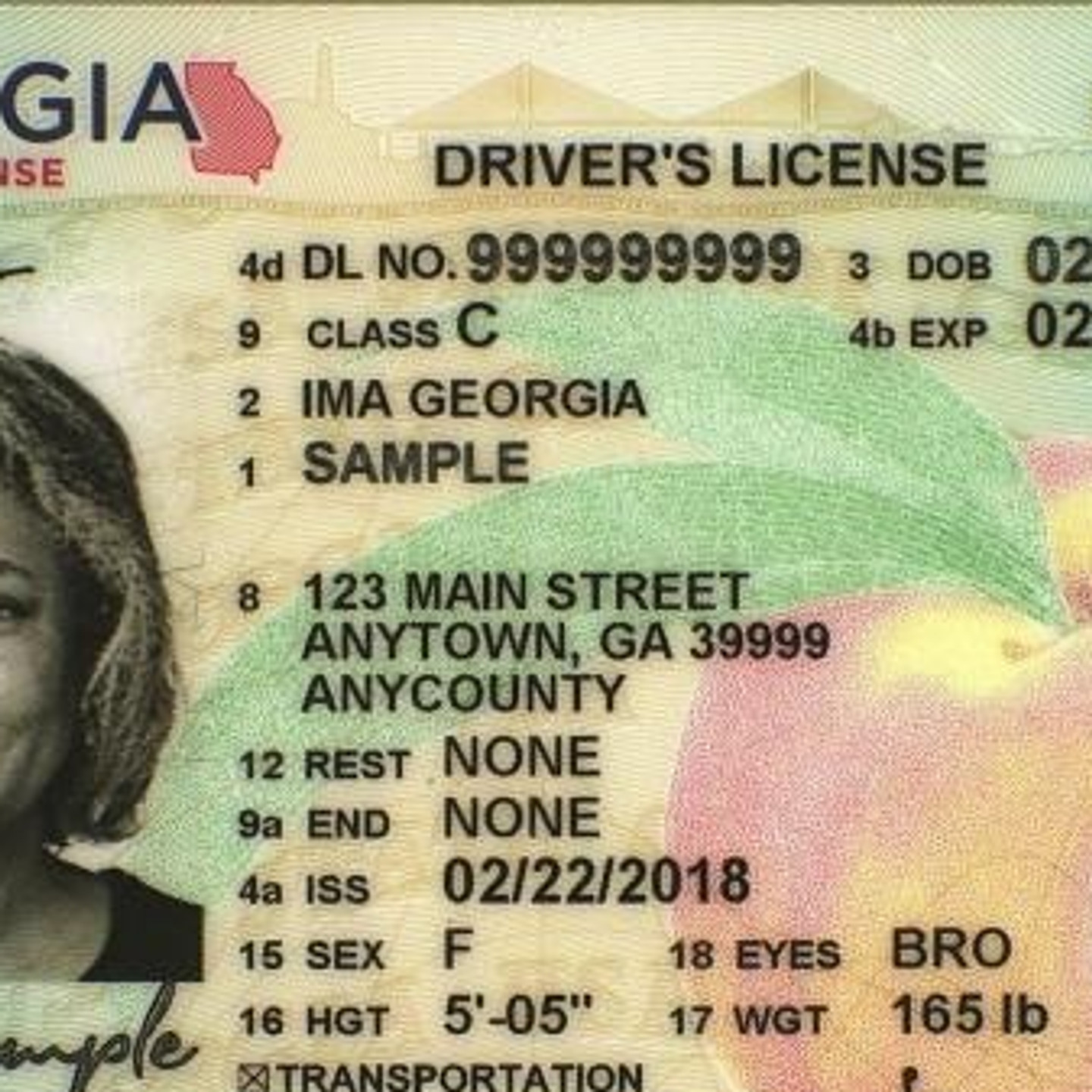 getting driver's license in georgia