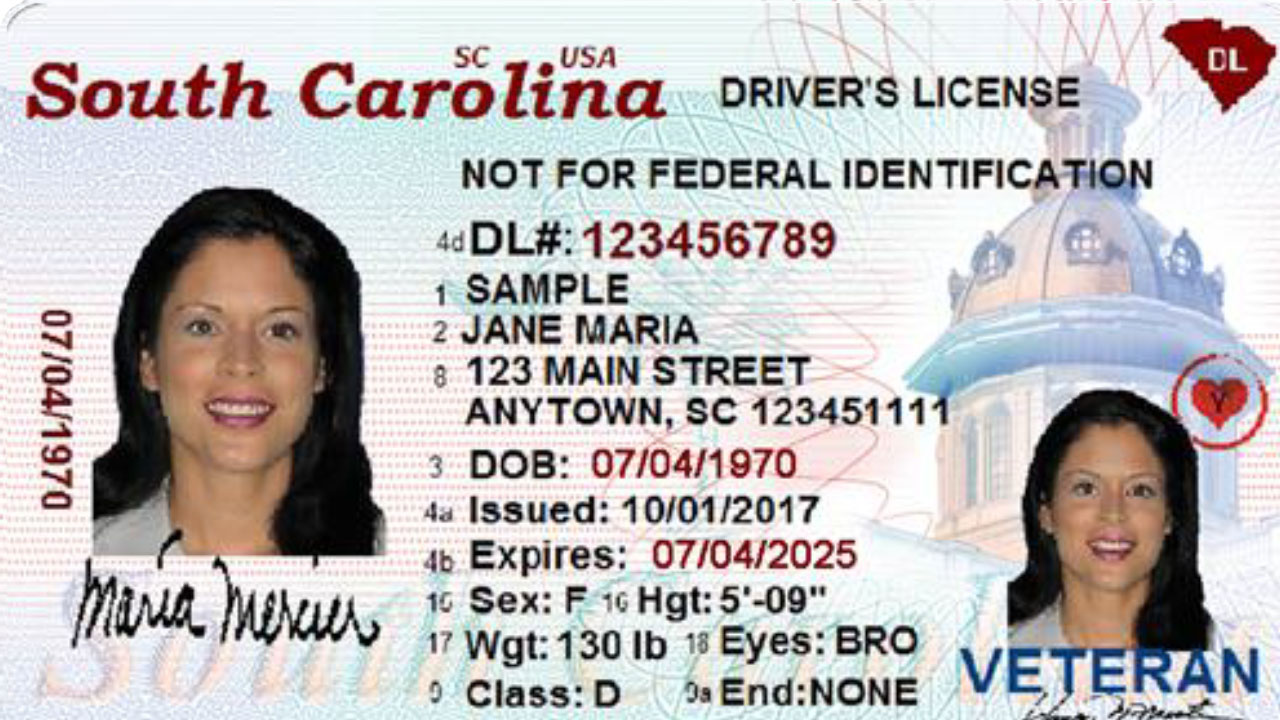 greenville driver license office