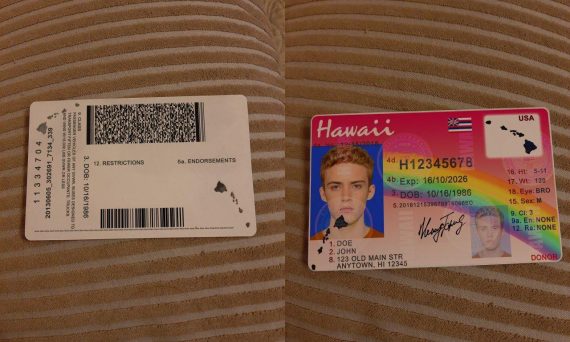 hawaii driver's license