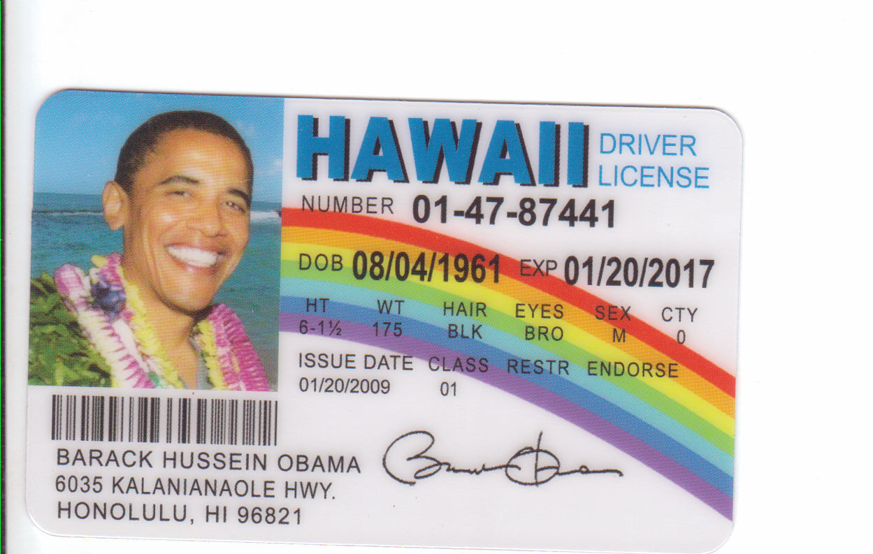 hawaii driver's license