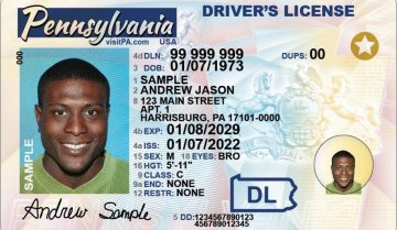 homeland security driver license