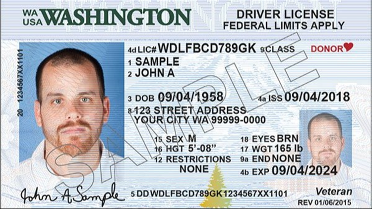 how many numbers on a driver's license