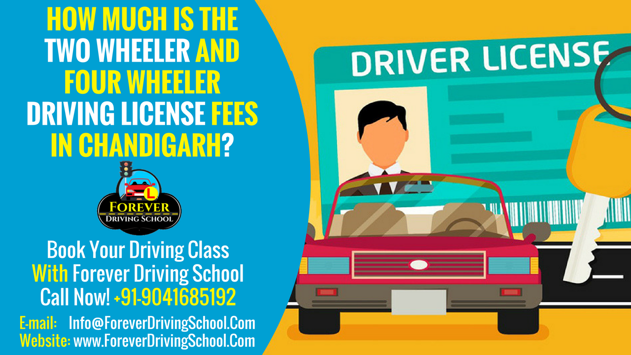 how much driver license cost