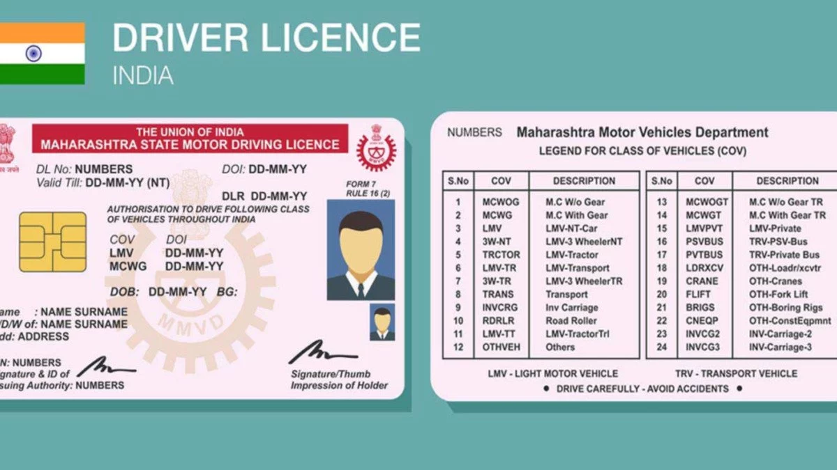 how much driver license cost