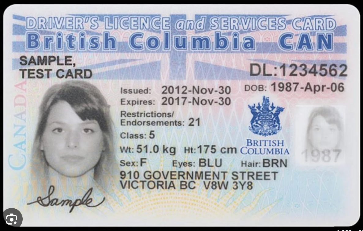 how to check if driver's license is valid