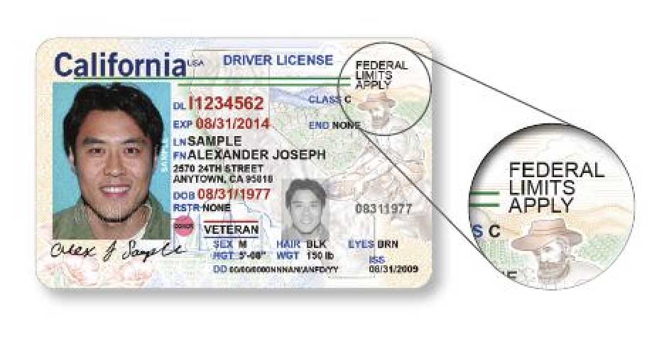 how to check if driver's license is valid