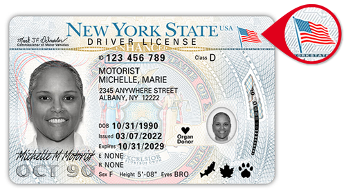 how to check the validity of a driver's license