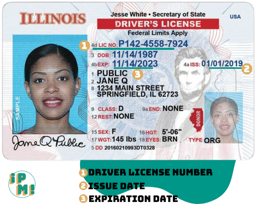 how to find out my driver's license number
