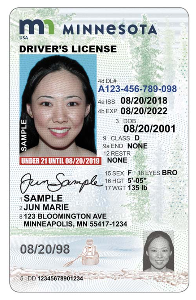 how to get minnesota driver's license