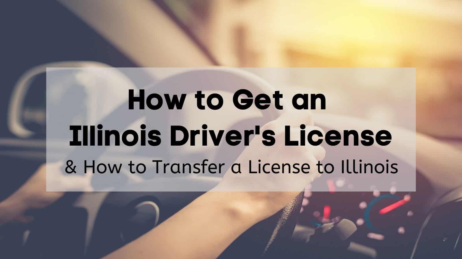 how to renew my driver license in illinois