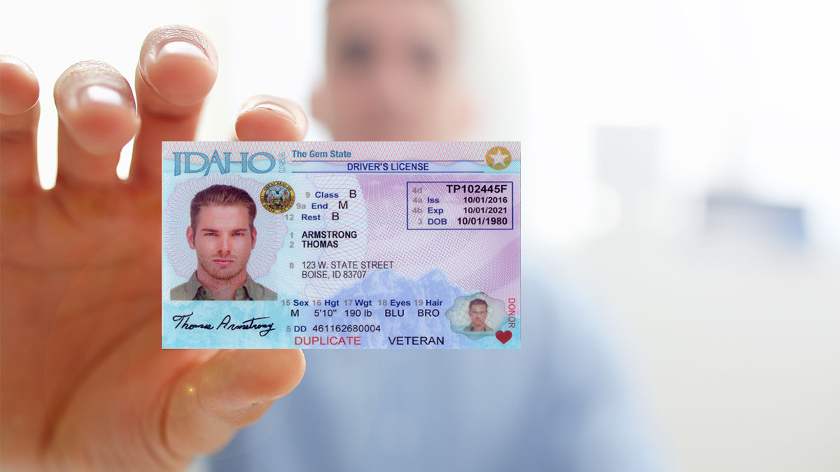 idaho driver's license age