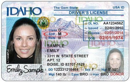 idaho driver's license requirements