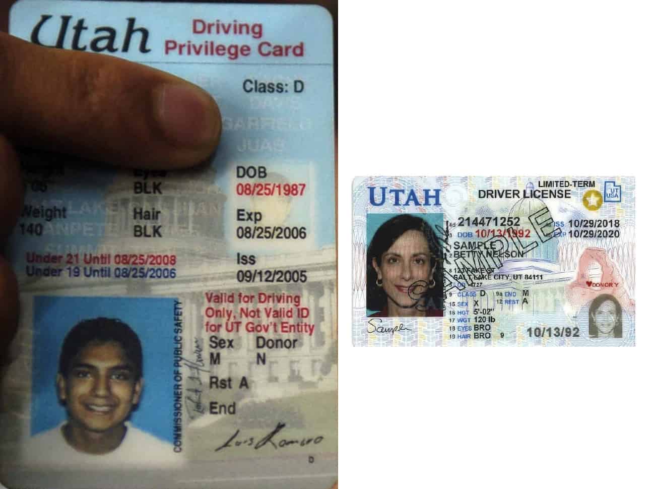 illegal alien driver's license