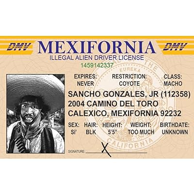 illegal alien driver's license