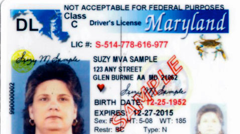 illegal alien driver's license