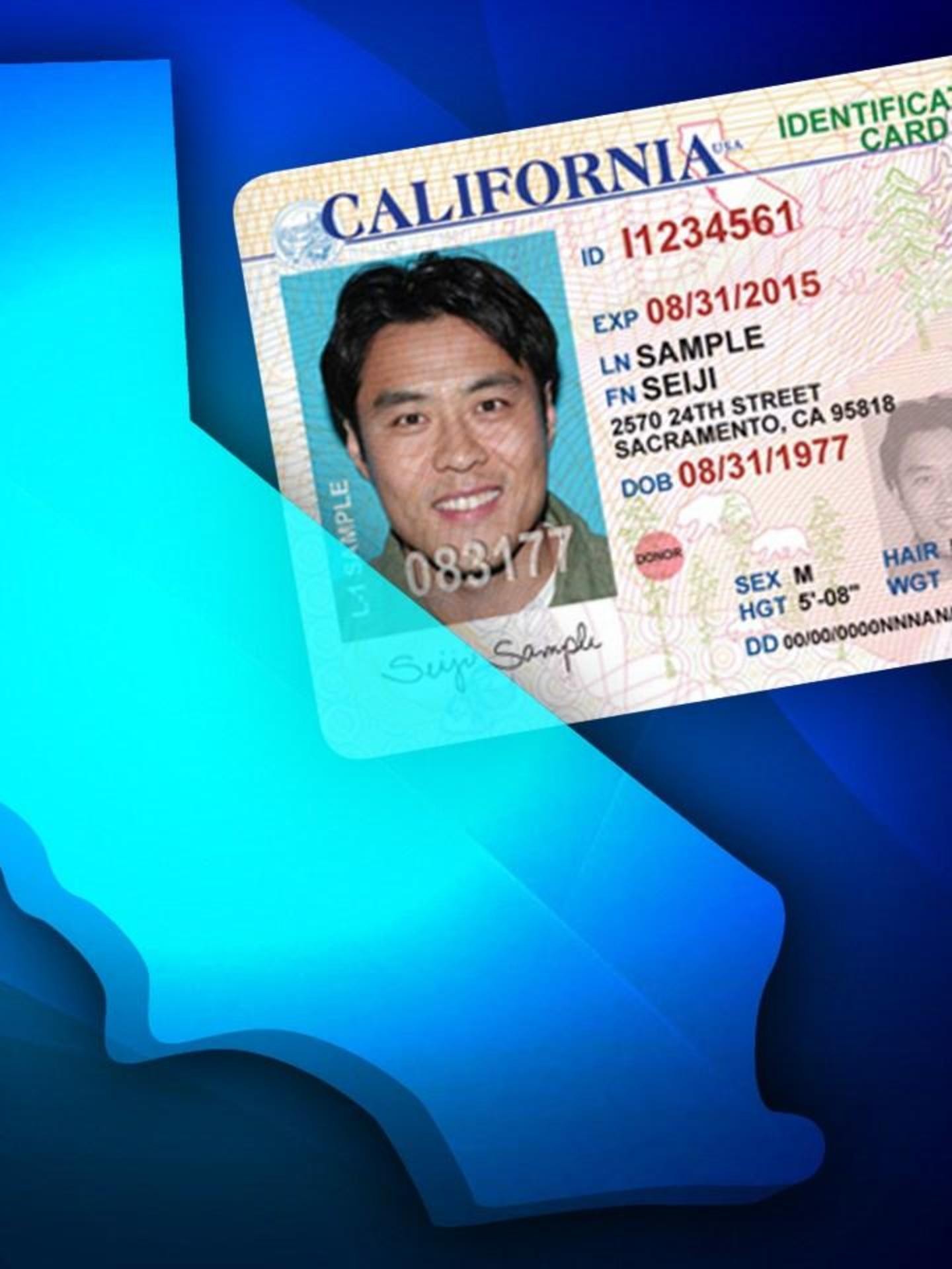 illegal immigrant driver's license illinois