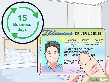 illinois driver license requirements