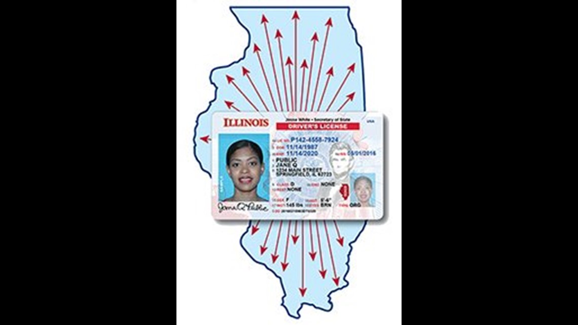 illinois driver's license bureau
