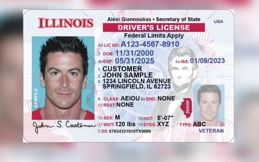 illinois driver's license federal limits apply